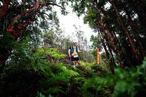 BIB: 
                            <button type="button" onclick="openModal(26204145)" class="btn btn-primary btn-sm float-right btn-popup" data-toggle="modal" data-target=".modal-high-quality">
                        <i class="fas fa-shopping-cart"></i> Add to Cart
                    </button>
                                            <button type="button" onclick="isThisMe(26204145, true)" class="btn btn-success btn-sm float-right btn-popup btn-isme hidden" data-toggle="tooltip" data-placement="bottom" title="นี่คือรูปของคุณใช่ไหม คลิกที่นี่เพื่อเอาเข้าอัลบั้ม">
                        <i class="fas fa-plus"></i> Add to album
                    </button>
                    <button type="button" onclick="isThisMe(26204145, false)" class="btn btn-warning btn-sm float-right btn-popup btn-isnotme hidden">
                        <i class="fas fa-ban"></i> Remove from album
                    </button>